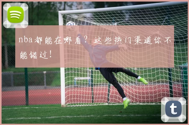 nba都能在哪看？这些热门渠道你不能错过！