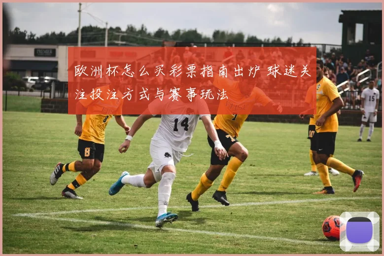欧洲杯怎么买彩票指南出炉 球迷关注投注方式与赛事玩法